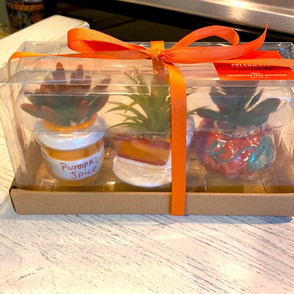 🍁🦃FALL FAUX SUCCULENT SET-3 Adorable Fall Themed Faux Succulents in Gift Box